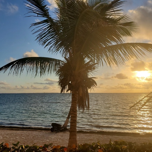 Meet your Posher, Lisa - Picture 1 of 1